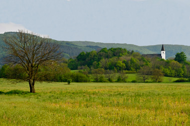 Galéria Plavecký Mikuláš