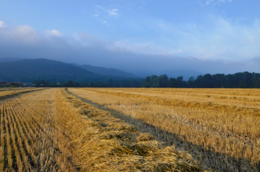 Galéria Plavecký Mikuláš